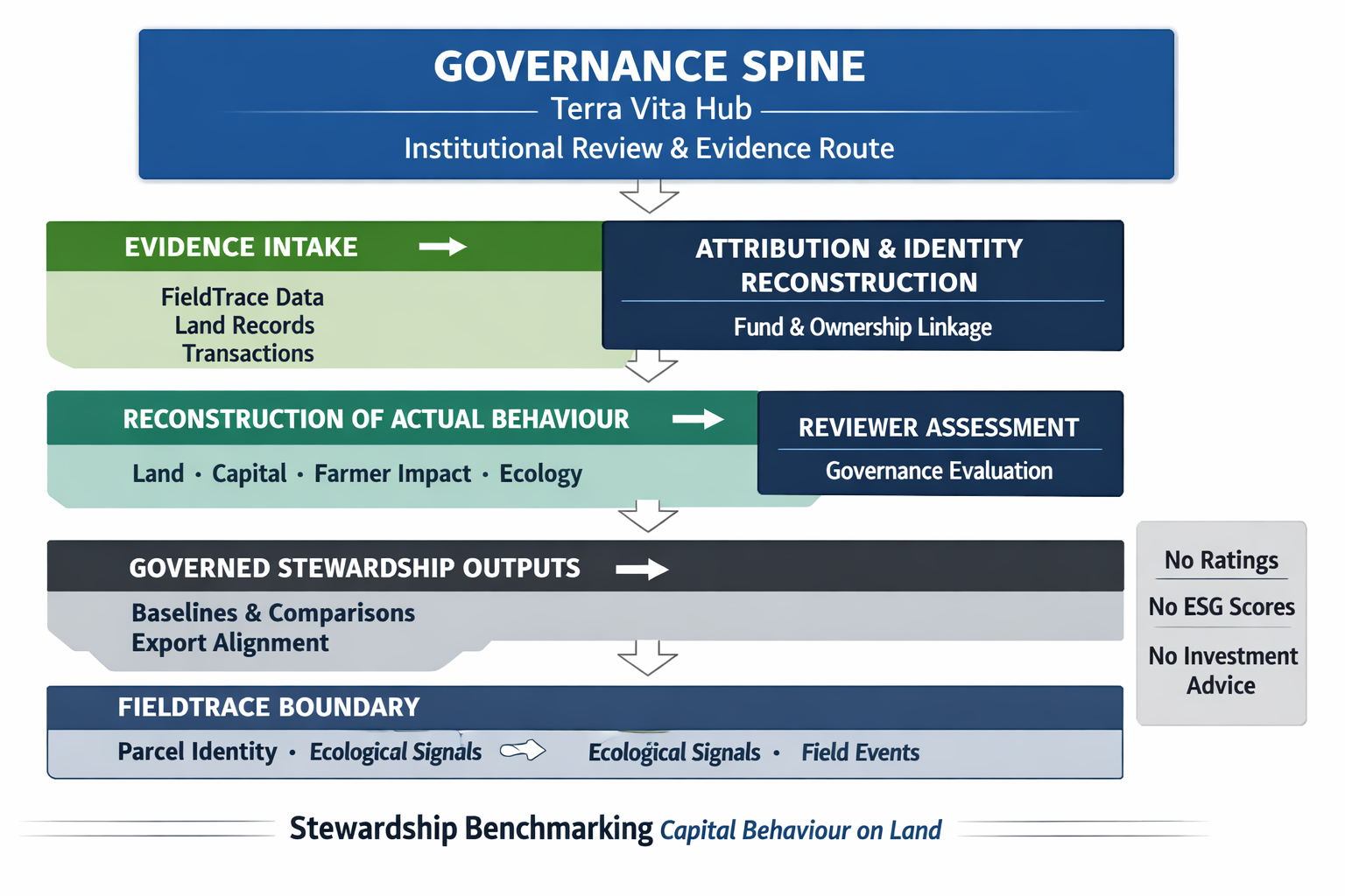 Governance Spine visual showing Evidence Intake, Attribution and Identity Reconstruction, Reconstruction of Actual Behaviour, Reviewer Assessment, Governed Stewardship Outputs and the FieldTrace boundary.
